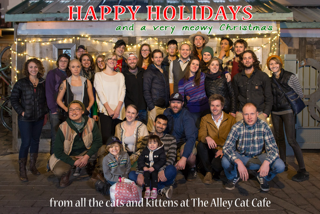 Alleycat Coffee House Open 24 hours. Simply the best coffee and chai